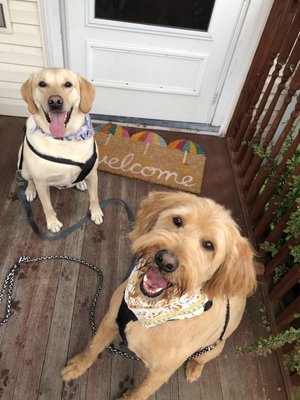 Foto de The Happy Hound
