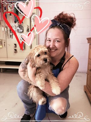 Palmdale, CA - Poodle Best Groomers