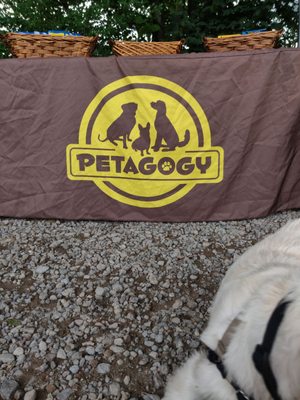 Photo of Petagogy