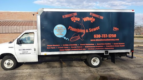 Foto de Blue Whale Plumbing and Sewer