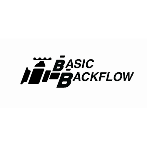 Foto de Basic Backflow